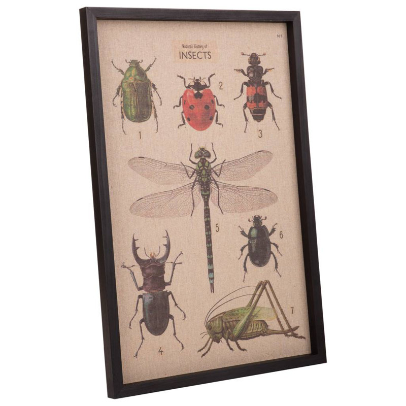 Single Picture Frame Print