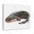 Majestic Catfish Art Majestic Catfish Print Animal Wall Art-2143085549