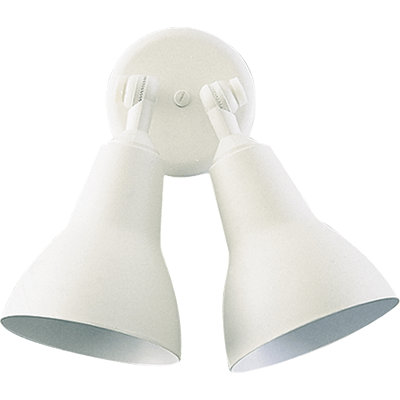 Balmorhea Spot Light