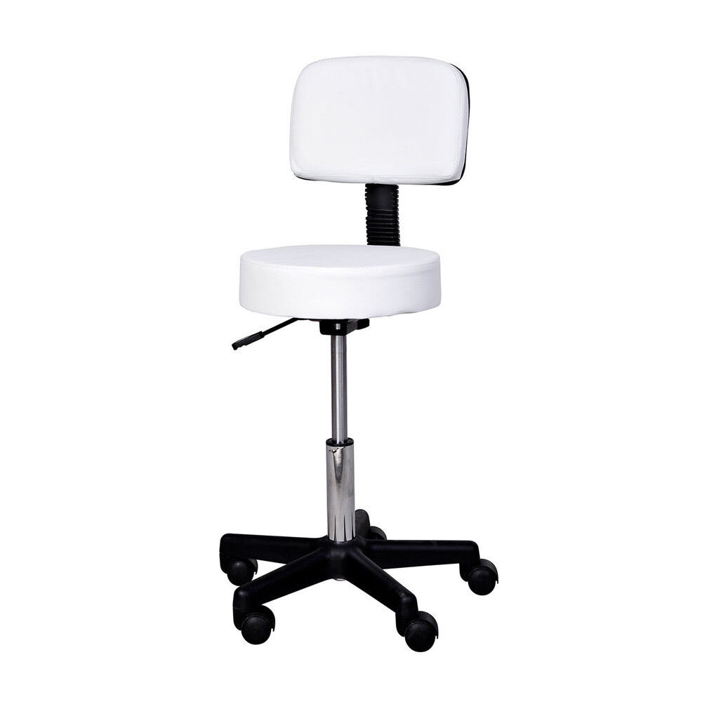 Inbox Zero Backed Adjustable Height Ergonomic Lab Stool with Footring  Wheels & Reviews