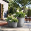 Jardinière Lughan-1732785469