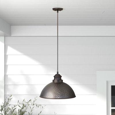 Luminaire suspendu d'extérieur 1 lumière H 8 po Minnewaukan