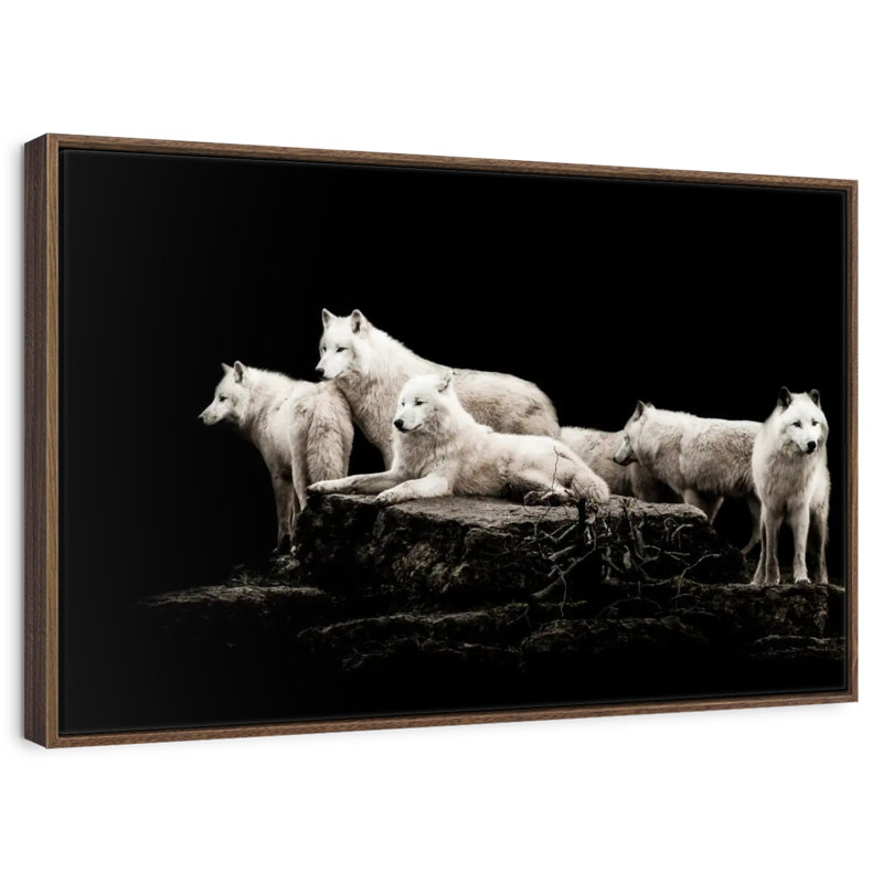 Loups blancs, 13 po x 9 po, Cadre flottant noyer