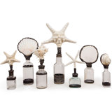 Decorative Bottles