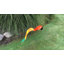 Art de jardin orange perroquet