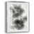 Silver Framed Canvas is unavailable