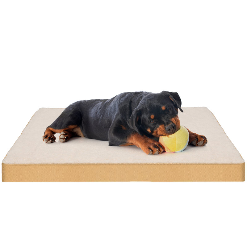  Lit pour chien rectangulaire, H 3 po x l 30 po x P 20 po