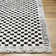 Aryas Checkered Indoor Rug