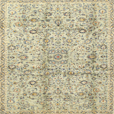 Oriental Indoor Rug