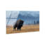 Mountain Bison I High-Gloss Frameless Acrylic Glass Wall Art Animals Print by Oliver Gal, Ready to Hang, 15 x 10-49073756-49073774