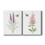 «Wildflower Botanical I», ensemble de 2 reproductions d'art-808811006-808811004-808463877