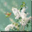 «Hummingbird Spring I (Square)» par Danhui Nai, reproduction-2134452044-2134452047