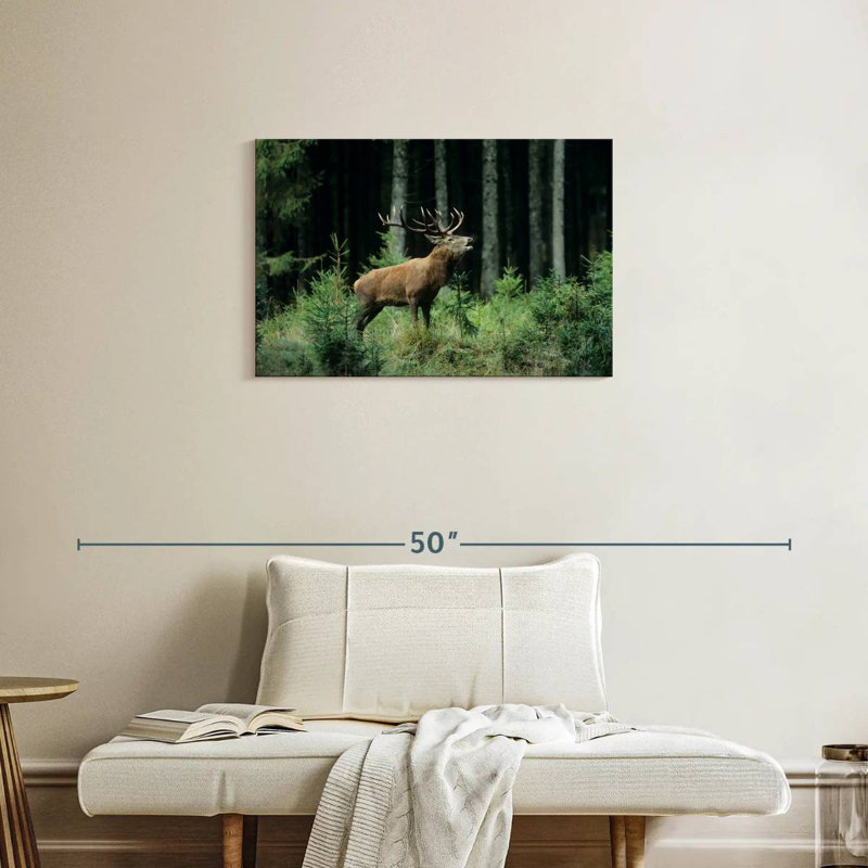 Crowle Elk Bugle, 20" H x 30" W