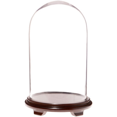 Cloche à dôme en verre 11,75 po x 20 po Brentwood