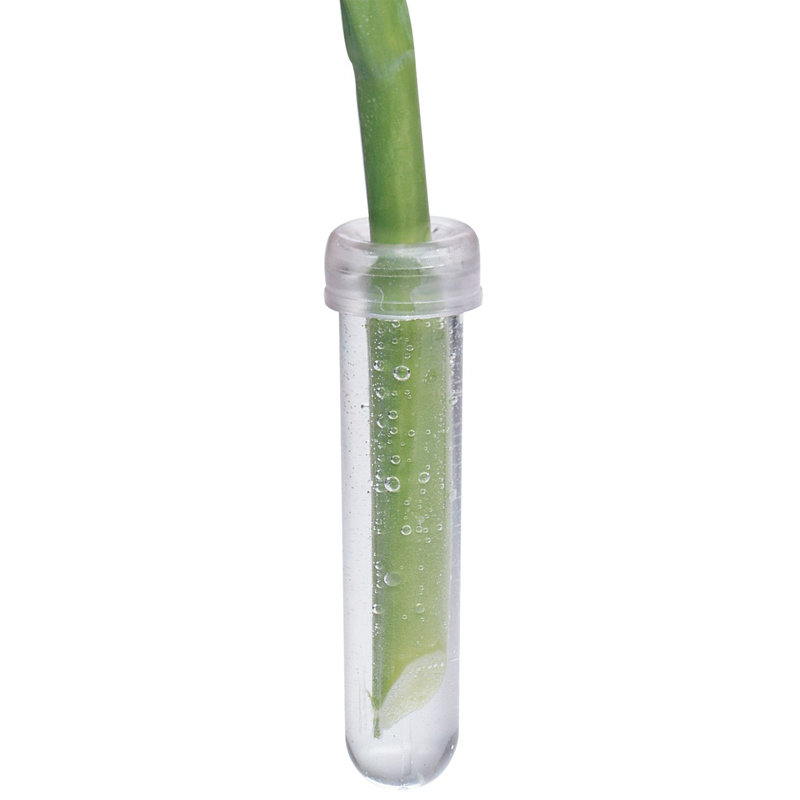 Greenlaw Weather Resistant Plant Support