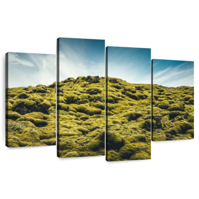 Champ de lave Alvord Mossy