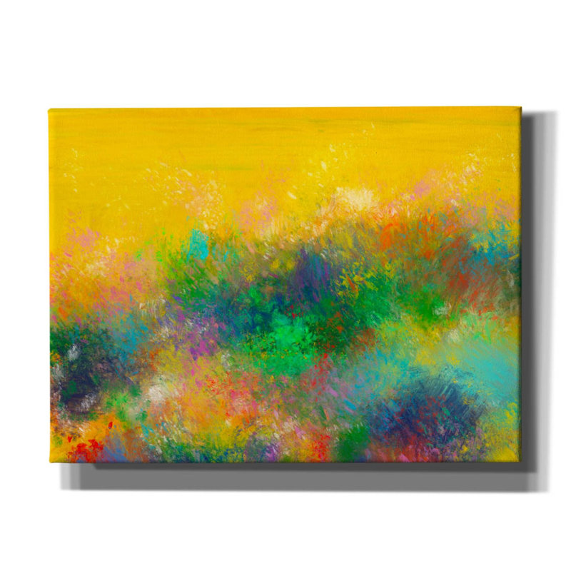 «Epic Graffiti« The Van Gogh's Garden »par Cesare Bellassai, art mural sur toile, 16 po x 12 po, H 12 po x l 16 po
