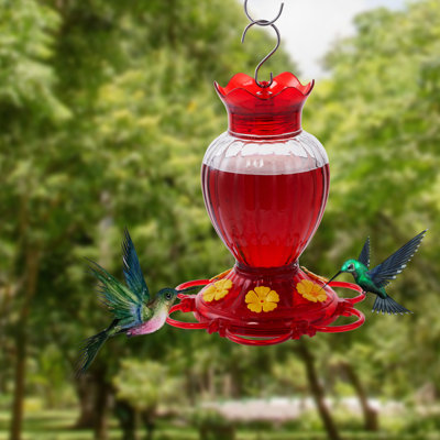 Mangeoire pour colibris en verre 20 oz pour l'extérieur, avec garde-fourmis intégrée et preuve d'abeille - 6 ports d'alimentation - bouche large pour un remplissage facile / base en 2 parties pour un nettoyage facile