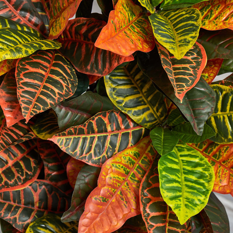 Plante croton artificielle en pot de fleurs