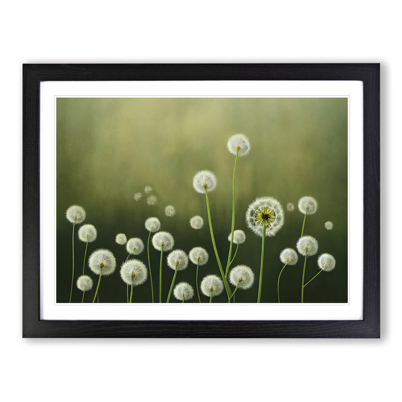 Enthralling Dandelion Flowers - Single Picture Frame Painting, 25cm H x 34cm W x 2cm D, Black 