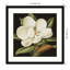 «Magnolia Grandiflora» par Jenny Barron - reproduction d'un seul cadre-86801037-86801038