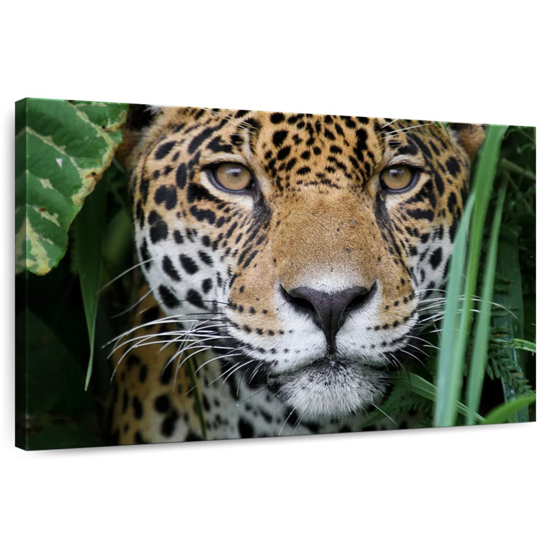 Brampt Amazon Jungle Jaguar, 8" H x 12" W