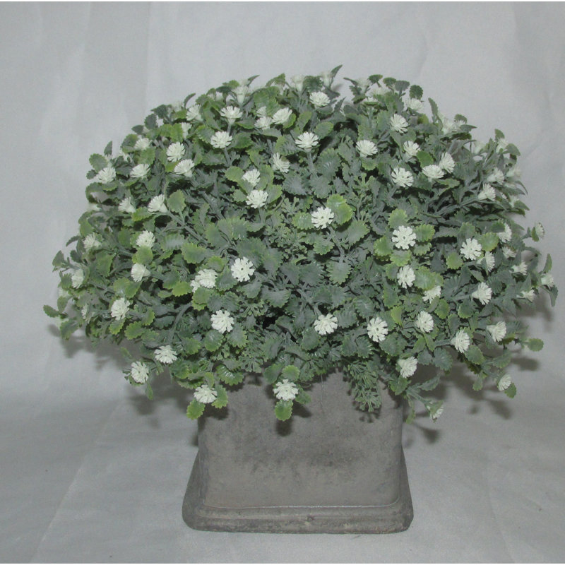 Plante florale en panier