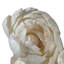 Centre de table pivoine Vickerman