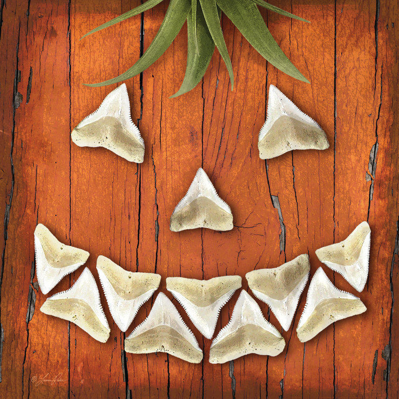 Bord de mer Jack O'Lantern, H 12 po x l 12 po