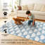Tapis rectangulaire bleu / blanc 3 pi x 5 pi 
