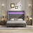 
Gerasim California Gray 60" Tall Faux-Fur Wingback Bed with LED Lights and USB Charging-1316539963-1323218801