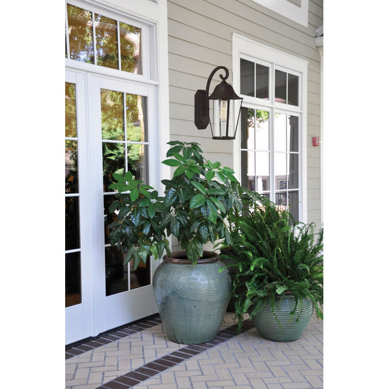 Salome Outdoor Wall Lantern