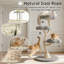 Tour pour chat 48 po H 48,4 po-1184608509