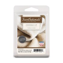 ScentSationals Agave Lime 2.5 Oz Scented Fragrant Wax Melts- 4 Pack in the  Wax Melts & Warmers department at
