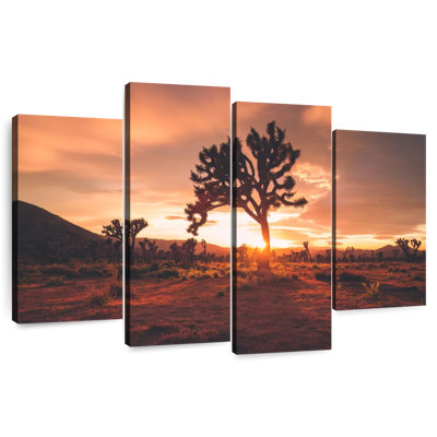 Nicci Joshua Tree Desert Sunset