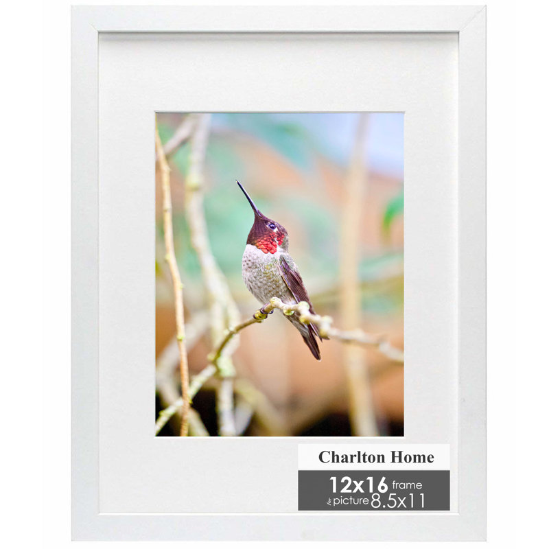 Cadre photo Kempson, 8.5 po x 11 po, Blanc
