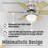 52'' Ceiling Fan with LED Lights