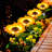 Low Voltage Solar Powered Integrated LED Pathway Light Pack
