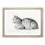Peaceful Cat by Jean Bernard - Picture Frame Drawing Print-55577988-55577984