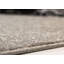 Cardero Machine Woven Indoor Rug-38746812