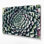 Art mural sur toile Botanical Echeveria