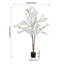 165cm Plant