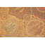 One-of-a-Kind Rectangle 15'9" X 17'10" Area Rug