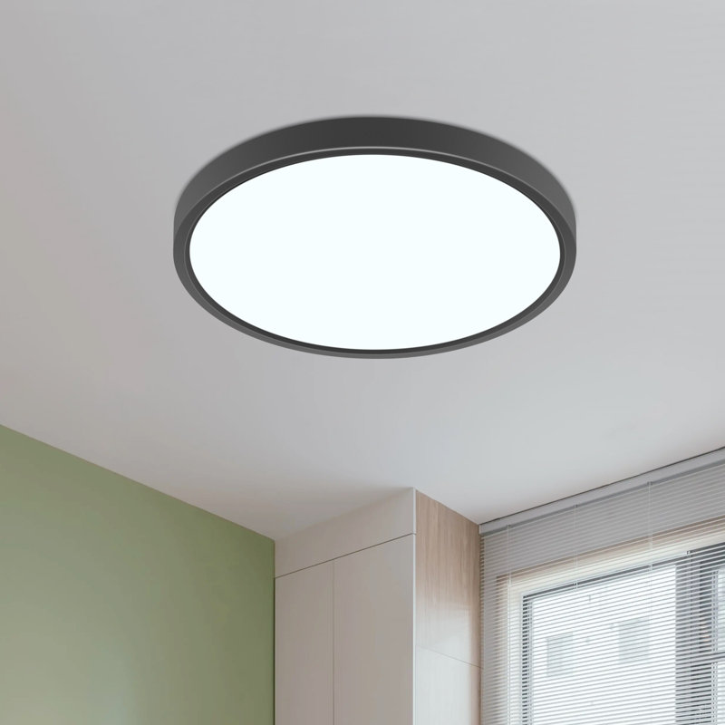 Azhani 30cm Waterproof LED Flush Mount Ceiling Light, Black