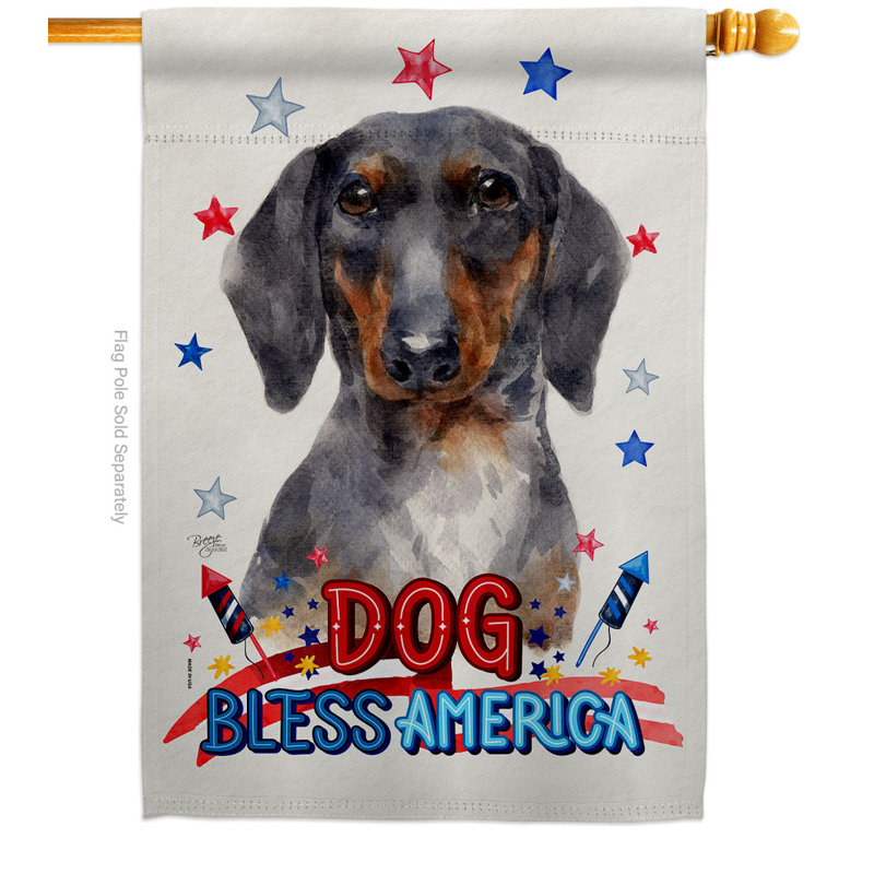 Drapeau de maison 40 x 28 pi Patriotic