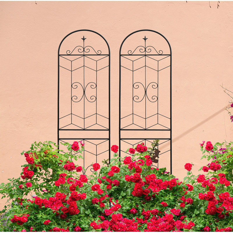 Paquet de 2 treillis de jardin en métal antirouille pour plantes grimpantes support de fleurs extérieur noir