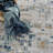 Liverii Abstract Design Modern Blue Area/Beige Rug-1983980743