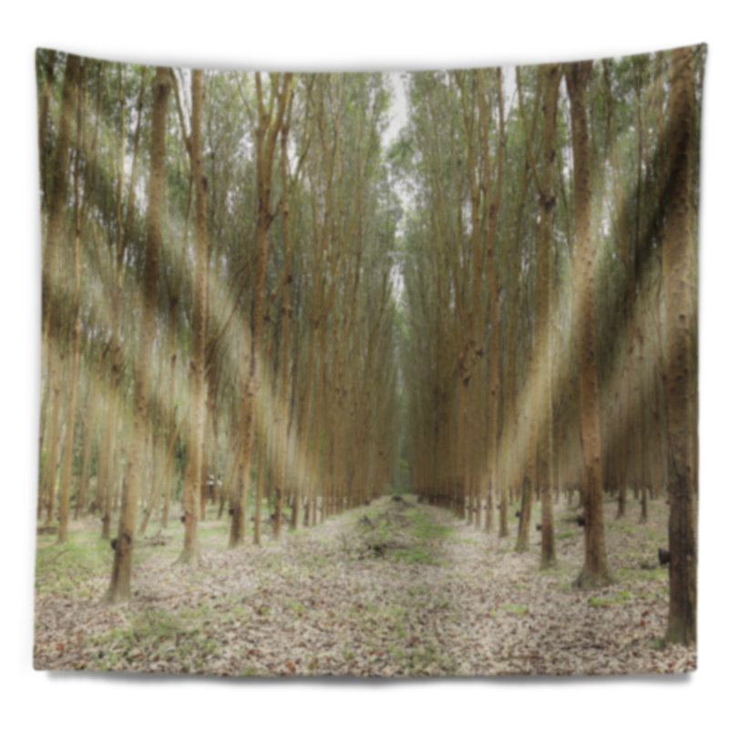 Tapisserie en caoutchouc avec arbres en caoutchouc, H 32 po x l 39 po
