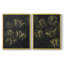 Impression encadrée de tulipes dorées I-Premium - prêt à être accroché - aucun clou requis - aucun clou requis-243036648-243036649
