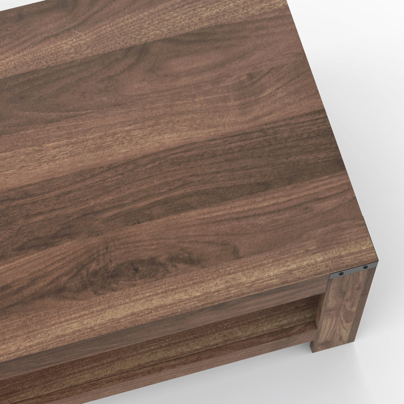 Damika Rectangular Coffee Table with 2-Tier Storage and Rustic Oak, Dark Walnut